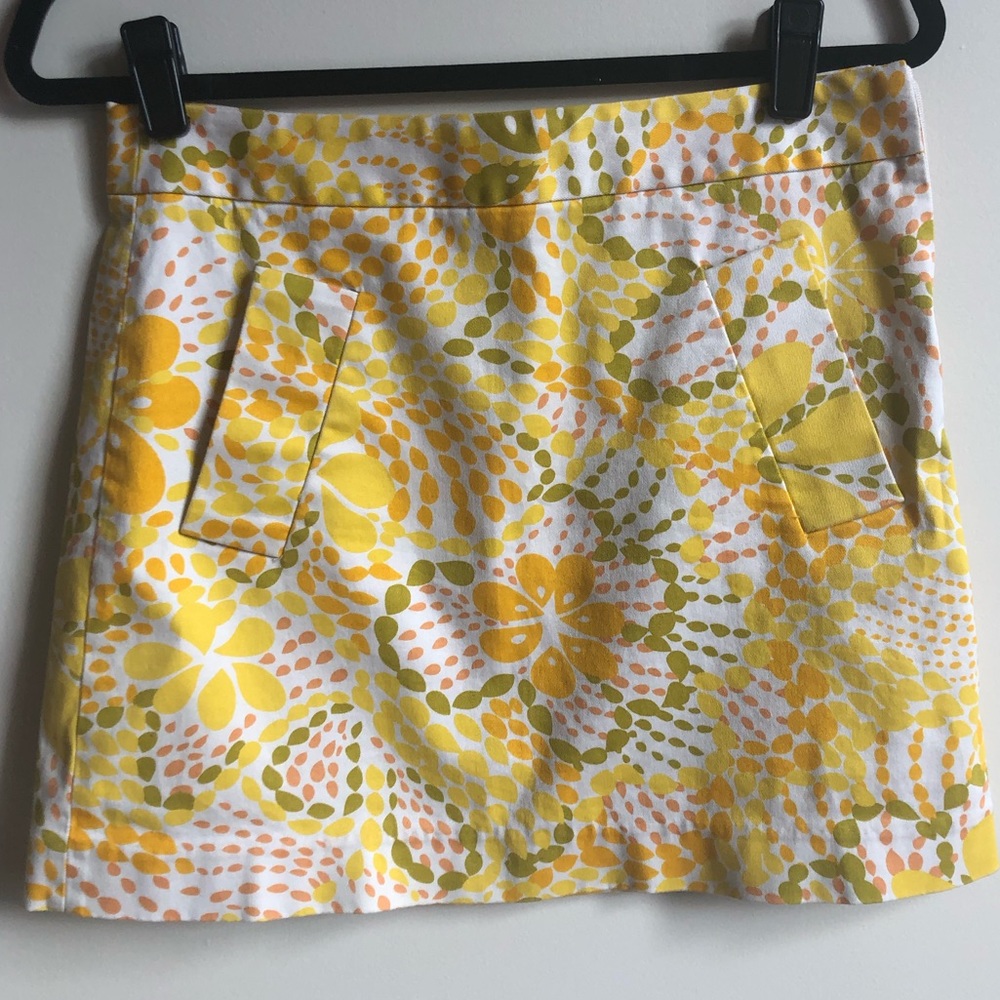 J.Crew Skirt